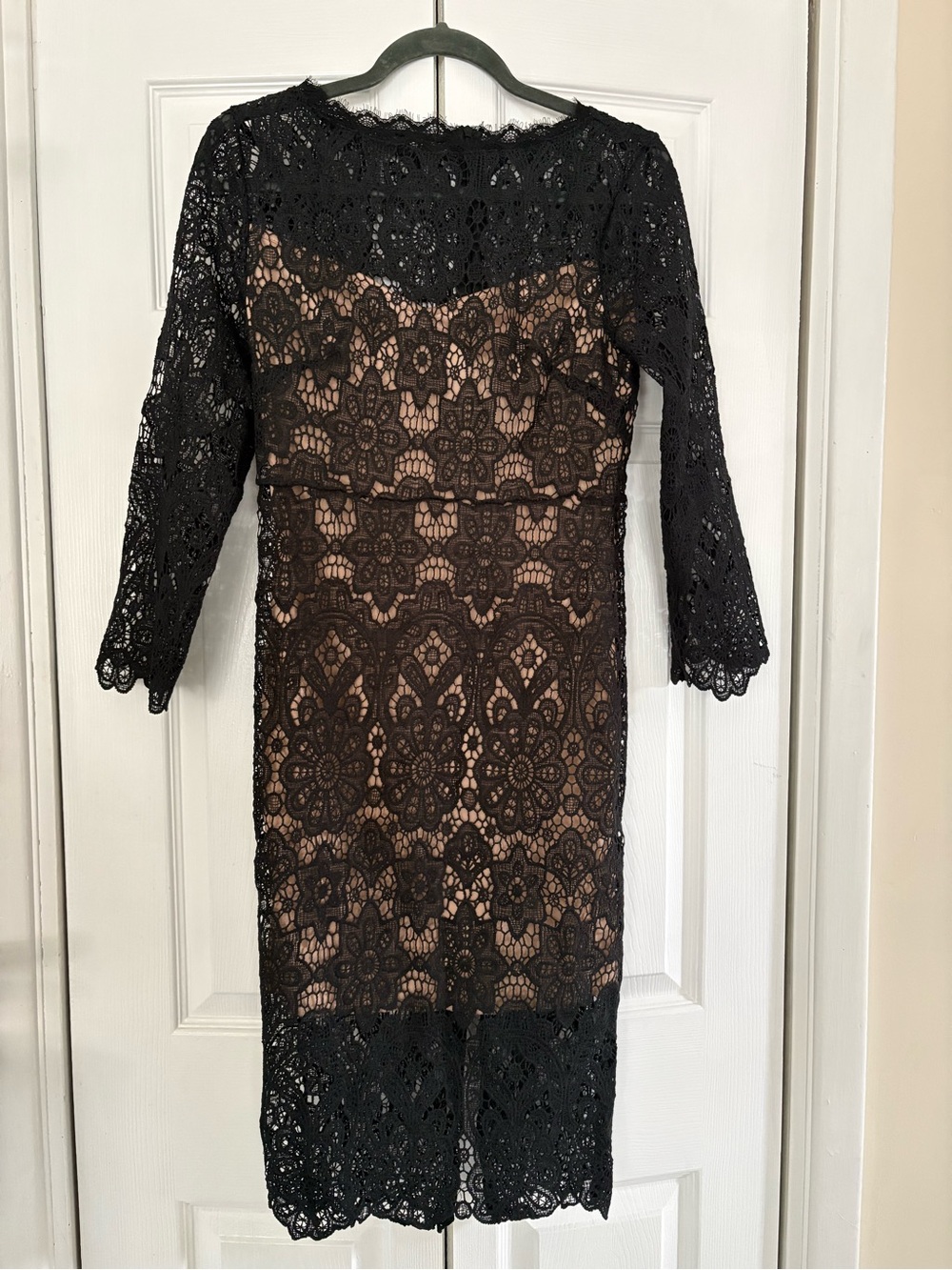 Black Lace Long-Sleeve Sheath Dress with Nude Lining